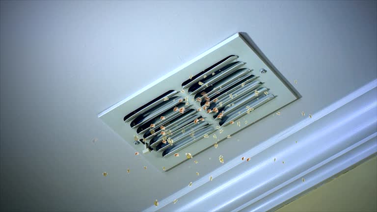 Best Best Air Duct Cleaning Company  in Hendersonville, NC