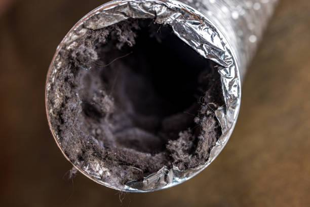Best Ventilation Cleaning Services  in Hendersonville, NC